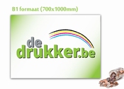 B1 affiches - DIGITALE DRUK